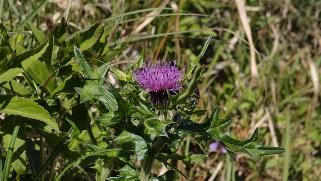 P4101190