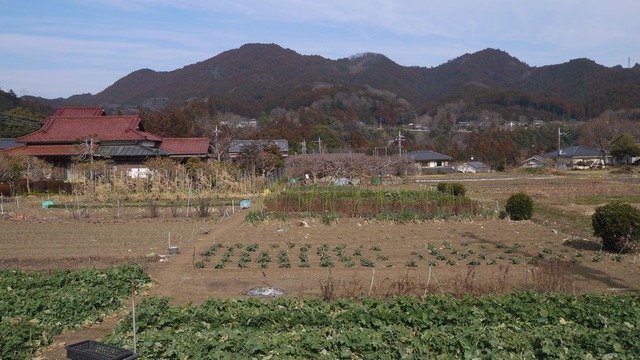 P1080374