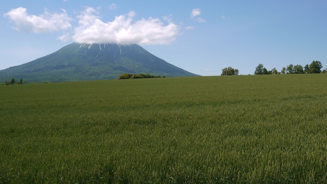 P1050774