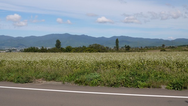 P1060115