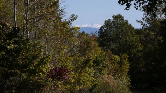 P1060386
