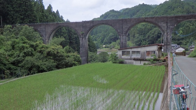 P6200048