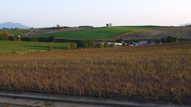 P1060548