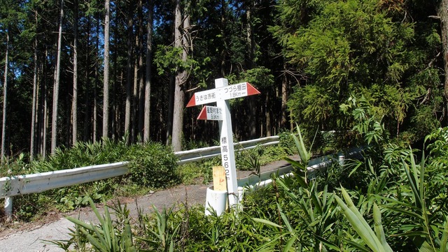 P9210162