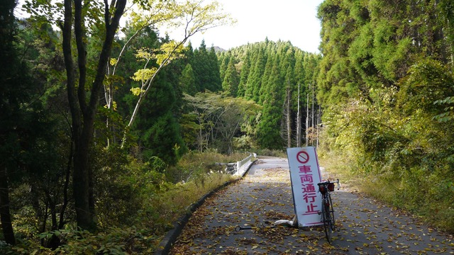 P1050040