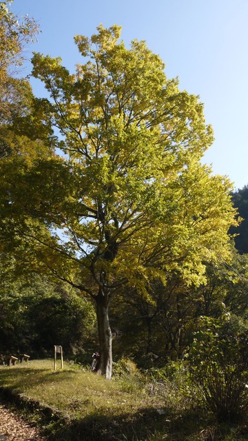 P1080058
