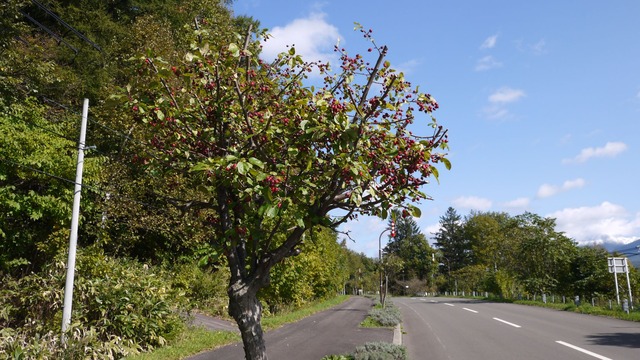 P1060431