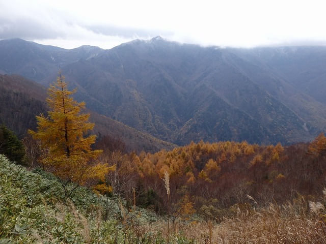 PA300224
