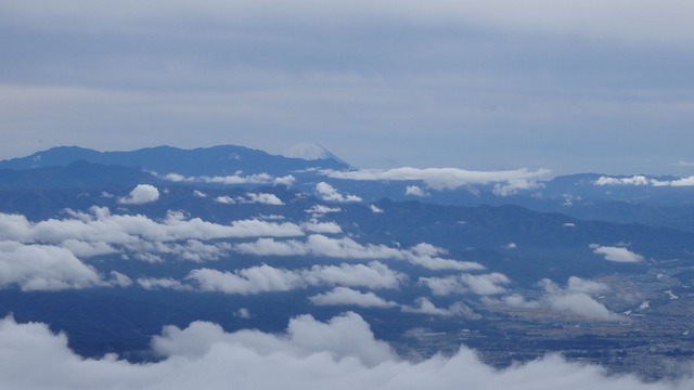 PA260123
