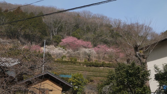 P1080479