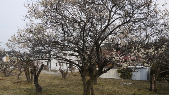 P1080380