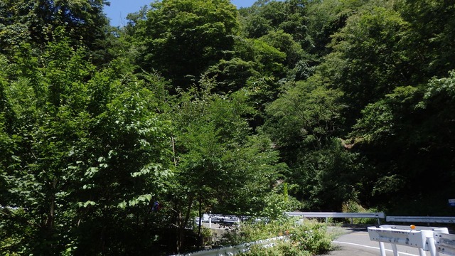 P8040005