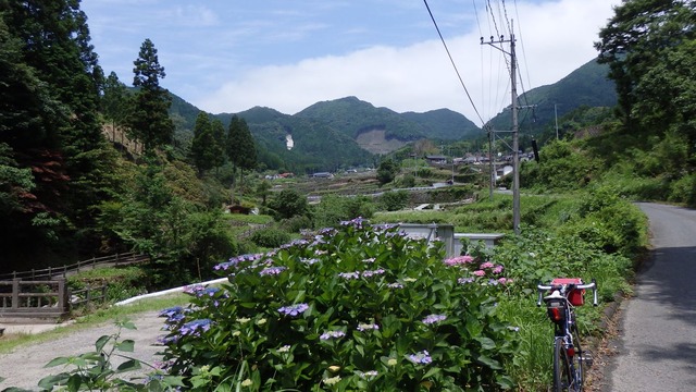 P6200073