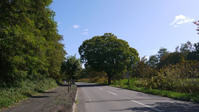 P1060430