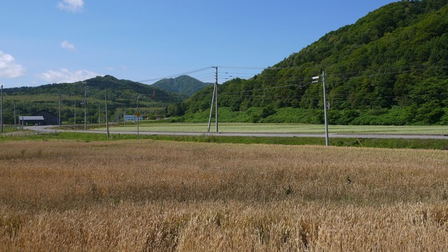 P1070086