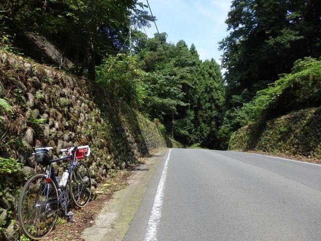 P9050010