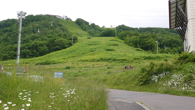 P1050566