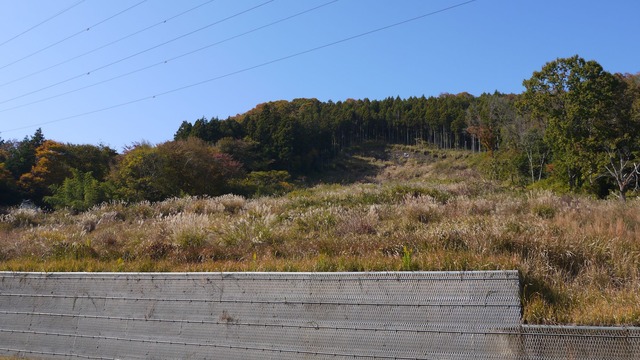 P1080156
