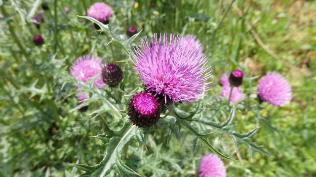 P5020035