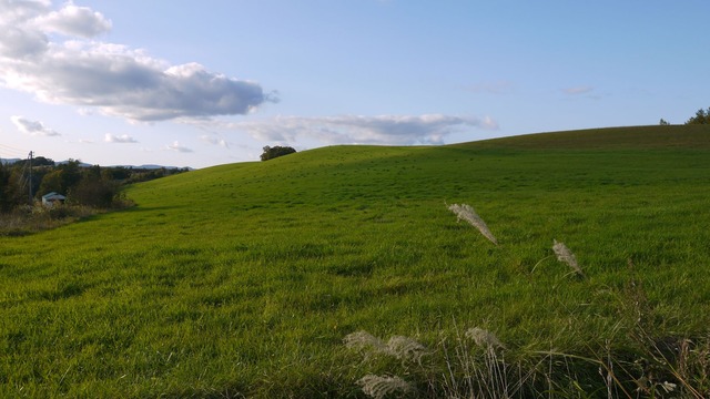P1060504
