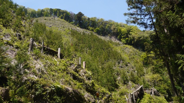 P1080568