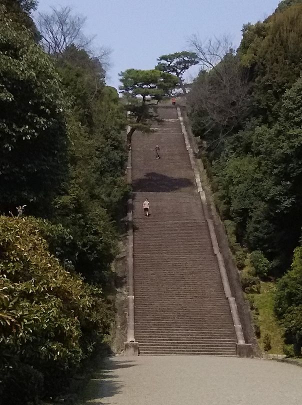 桃山御陵の大階段で 高強度インターバル 自転車と 水泳と マラソンと