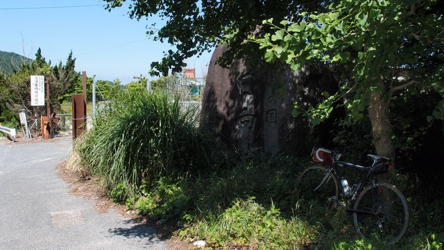 P5291349