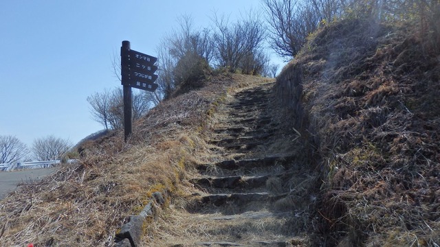 P3010029