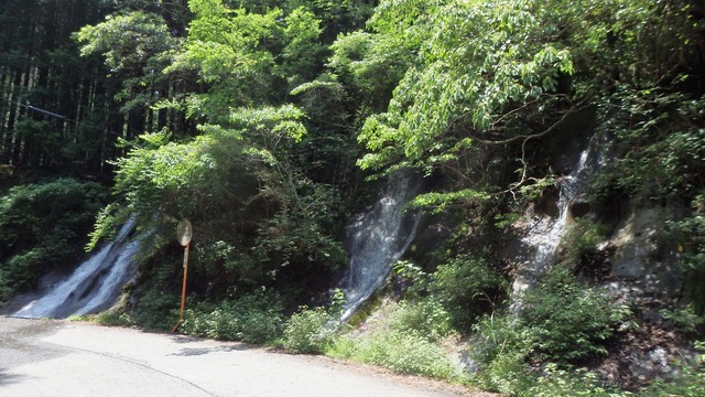 P6200145
