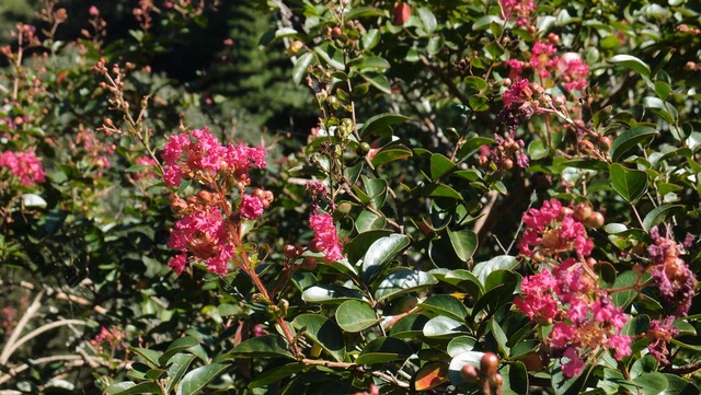 P9210137