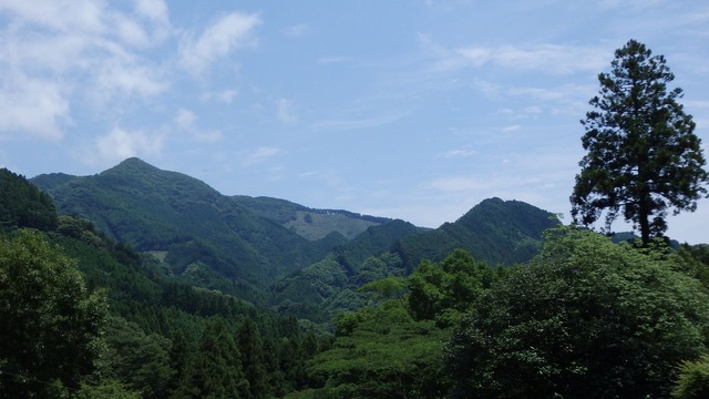 P6200110