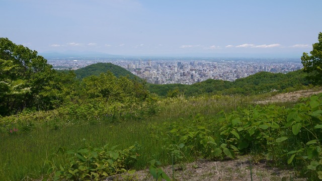 P1060906