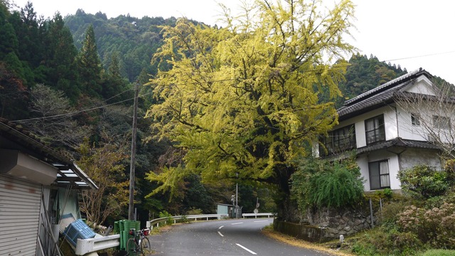 P1050017