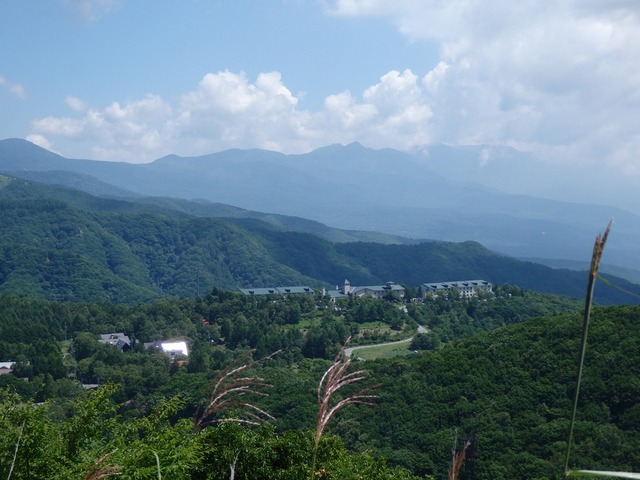 P8060455