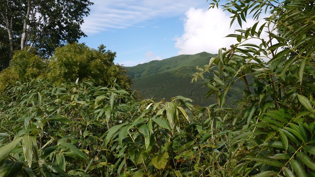 P1060044