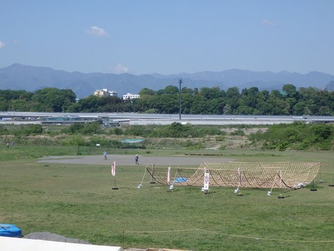 P5010037