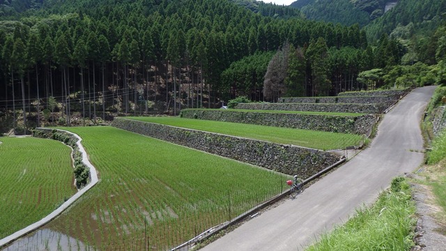 P6200139