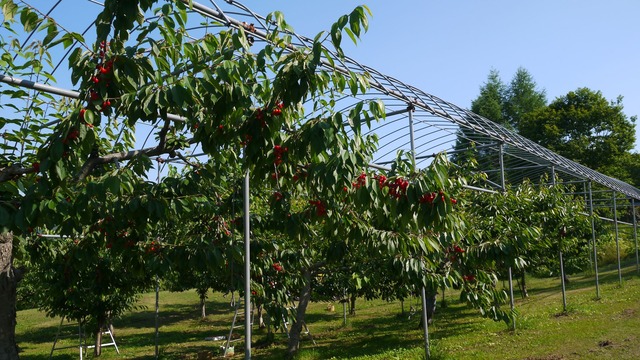 P1070023