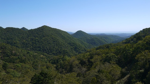 P1070285