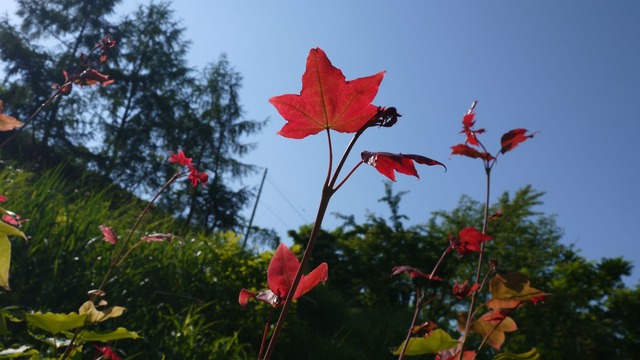 P1070019