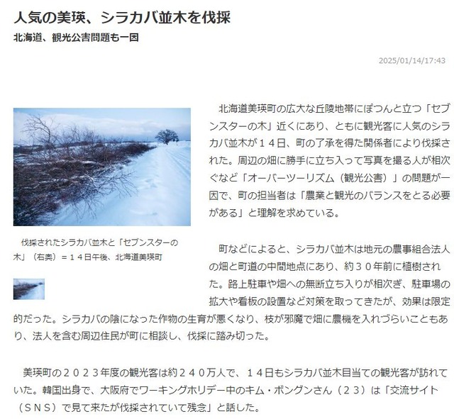 セブンスターの木