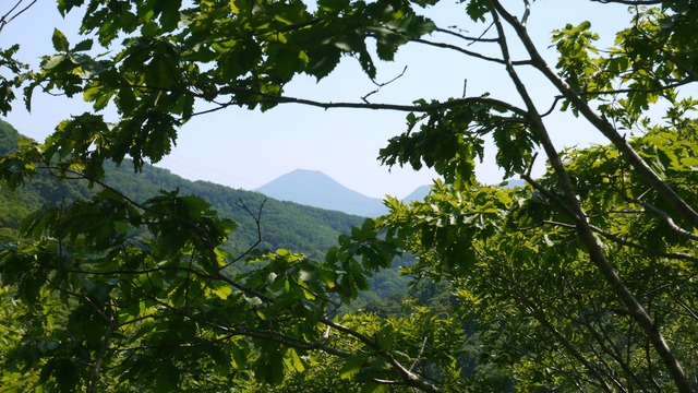 P1070006