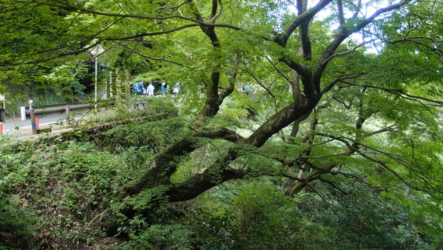 P9270363
