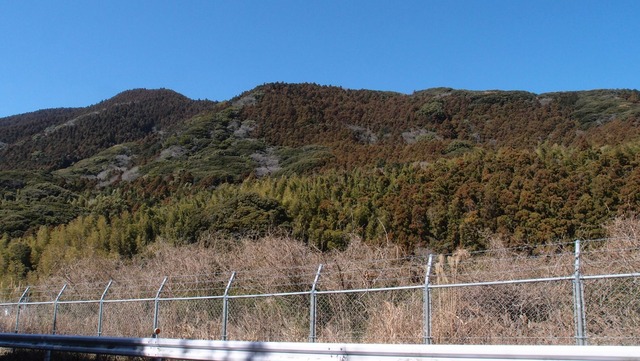 P3060362