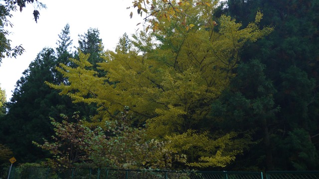 P1080066