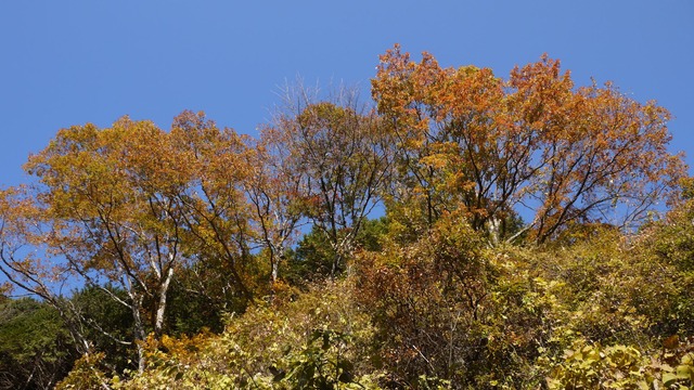 P1080244