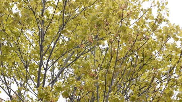 P1060797