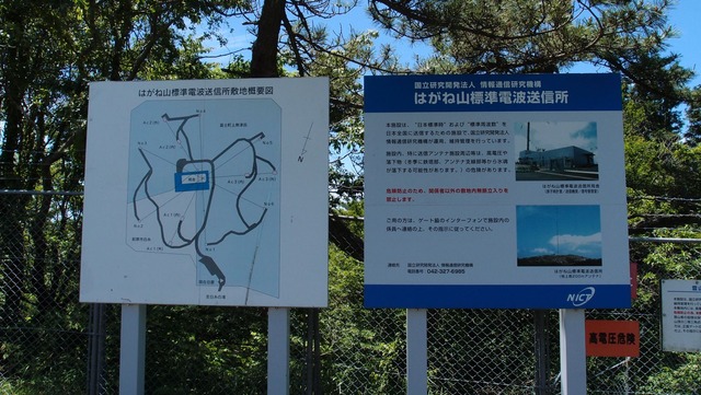 P5291391