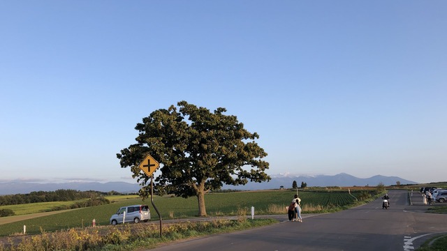 P1060550_8073