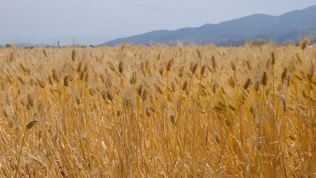 P5020019